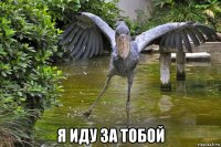  я иду за тобой