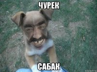 чурек сабак