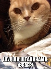  шурши штанинами, фраер!