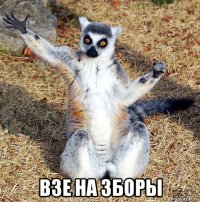  взе на зборы