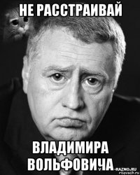 не расстраивай владимира вольфовича