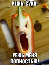 режь, сука! режь меня полностью!