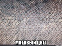  матовый цвет