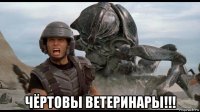  чёртовы ветеринары!!!