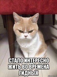  стало интересно жить во времена гидных