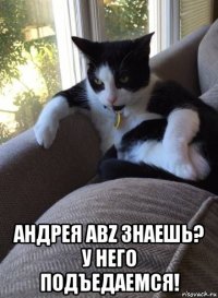  андрея abz знаешь? у него подъедаемся!
