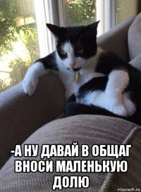  -а ну давай в общаг вноси маленькую долю