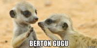 berton gugu