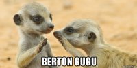  berton gugu