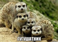  гугушатник