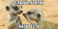 слышь, братан базар есть