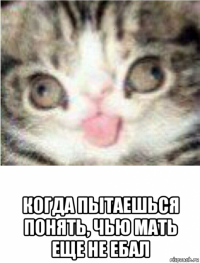  когда пытаешься понять, чью мать еще не ебал
