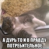  а дурь то и в правду потребительное