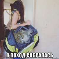  в поход собралась