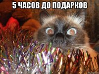 5 часов до подарков 