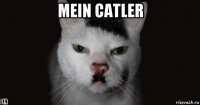 mein catler 