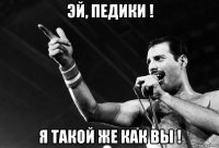 эй, педики ! я такой же как вы !