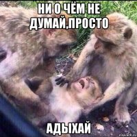 ни о чём не думай,просто адыхай