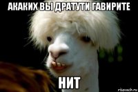 акаких вы дратути гавирите нит