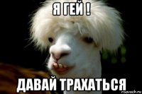 я гей ! давай трахаться