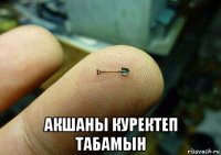  акшаны куректеп табамын
