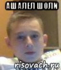 ашалел шоли 