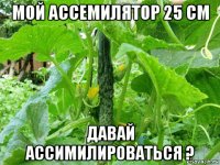 мой ассемилятор 25 см давай ассимилироваться ?