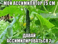 мой ассимилятор 25 см давай ассимилироваться ?