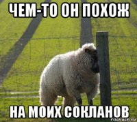 чем-то он похож на моих сокланов