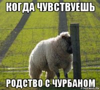 когда чувствуешь родство с чурбаном