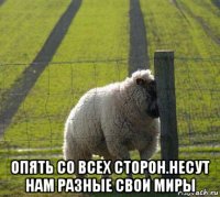  опять со всех сторон.несут нам разные свои миры
