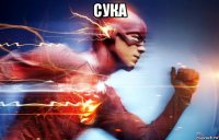 сука 