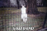  бухал вчера?