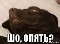 шо, опять?