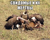 свидомые и их жертвы 