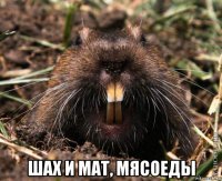  шах и мат, мясоеды