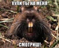хули ты на меня смотриш!