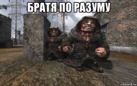братя по разуму 