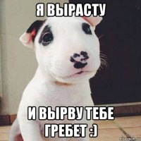я вырасту и вырву тебе гребет :)