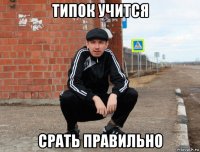 типок учится срать правильно