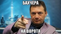 бахчёра на ворота