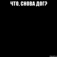 что, снова дог? 
