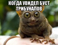 когда увидел буст трибуналов 
