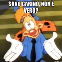 sono carino, non è vero? 