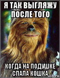 я так выгляжу после того когда на подушке спала кошка