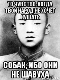то чувство, когда твой народ не хочет кушать собак, ибо они не шавуха