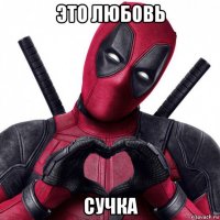 это любовь сучка