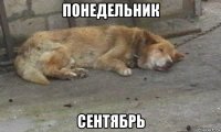 понедельник сентябрь