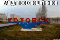 рай для всех кошатников 