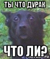 ты что дурак что ли?